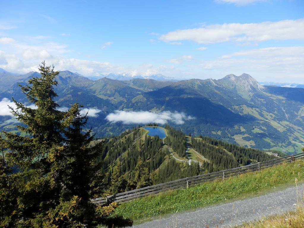 Winklers Gipfelblick Chalet, Inklusive Alpentherme - Ganzjahrig, Gasteiner Bergbahn - Nur Sommer Bad Hofgastein Kültér fotó